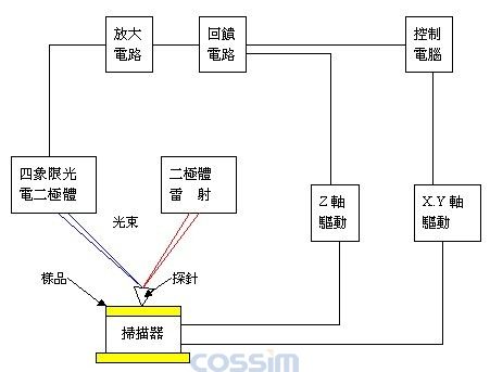 原子力顯微鏡（AFM）的結構示意圖